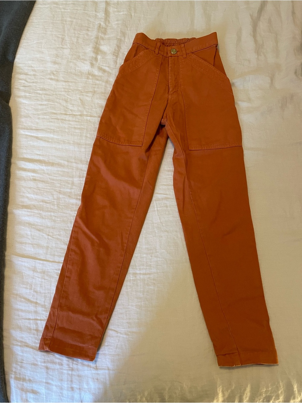 Big Bud Press Pencil Pants in Rust